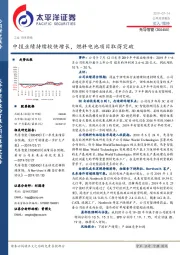 中报业绩持续较快增长， 燃料电池项目取得突破