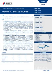 2019年半年报业绩预告点评：业绩大幅增长，看好公司长期成长趋势