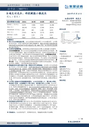 B端支付龙头，科技赋能小微成长