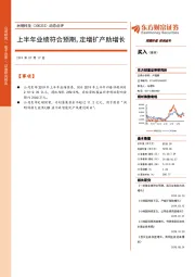 动态点评：上半年业绩符合预期，定增扩产助增长