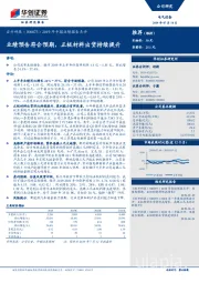 2019年中报业绩预告点评：业绩预告符合预期，正极材料出货持续提升