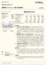 磷酸铁锂拐点将至