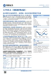 拟定增开发老挝项目，林浆纸一体化布局有望逐步完善