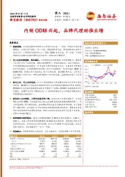 内销ODM兴起，品牌代理助推业绩