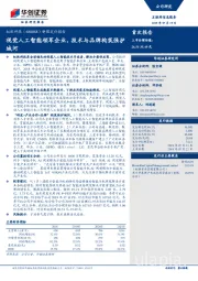 新股定价报告：视觉人工智能领军企业，技术与品牌构筑强护城河