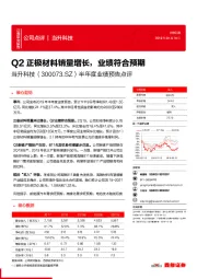 半年度业绩预告点评：Q2正极材料销量增长，业绩符合预期