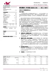 非制冷红外探测器领军企业