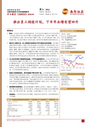 推出员工持股计划,下半年业绩有望回升
