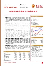 短期费用高企着眼于长期持续增长
