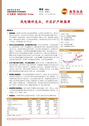 风电铸件龙头,开启扩产新篇章