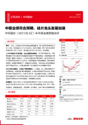 半年报业绩预增点评:中报业绩符合预期,硅片龙头发展加速