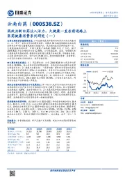 医药健康消费系列研究（一）：混改为新白药注入活力，大健康一直在前进路上