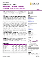 2019年半年报点评:业绩增长强劲,“检测运维”拓展可期