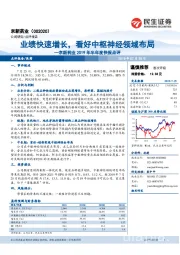 京新药业2019年半年度快报点评:业绩快速增长,看好中枢神经领域布局