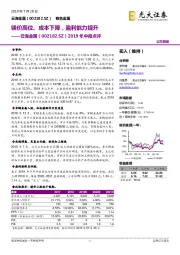 2019年中报点评：镁价高位、成本下降，盈利能力提升