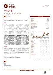 大应急产业稀缺龙头标的