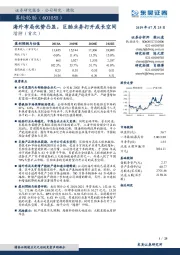 海外布局优势凸显，巨胎业务打开成长空间