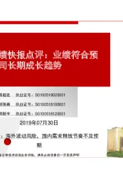 大华股份业绩快报点评:业绩符合预期,看好公司长期成长趋势