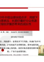 分众传媒2019年中报业绩快报点评:周期下行阶段短期业绩承压,长期仍看好分众资源规模效应及宏观经济复苏带来的成长性