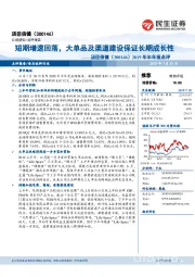 2019年半年报点评:短期增速回落,大单品及渠道建设保证长期成长性