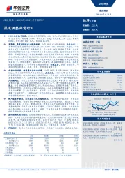 2019年中报点评：渠道调整尚需时日