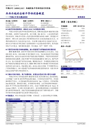 中微公司首次覆盖报告:冉冉升起的全球半导体设备新星