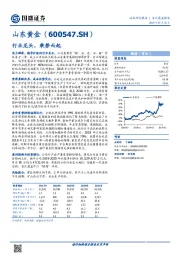 行业龙头，乘势而起