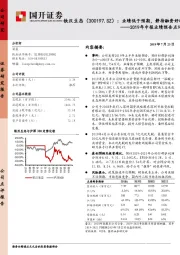 2019年中报业绩预告点评：业绩低于预期，静待融资好转