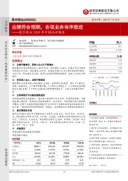 恩华药业2019年中报点评报告：业绩符合预期，各项业务有序推进