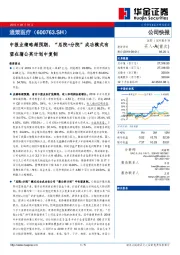 中报业绩略超预期，“总院+分院”成功模式有望在蒲公英计划中复制