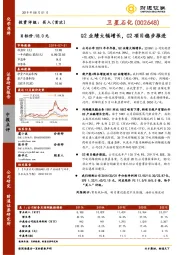 Q2业绩大幅增长，C2项目稳步推进