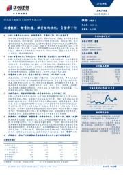 2019年中报点评：业绩靓丽、销量快增，融资结构优化、负债率下行