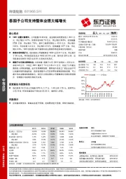 泰国子公司支持整体业绩大幅增长