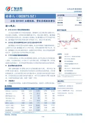 公告2019H1业绩快报，营收实现较快增长