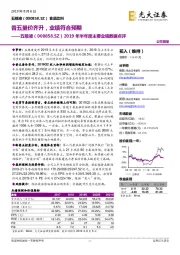 2019年半年度主要业绩数据点评:普五量价齐升,业绩符合预期