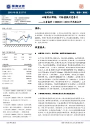 2019半年报点评：业绩符合预期，可转债提升竞争力