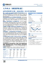 政策性贷款替代定增，老挝林浆纸一体化项目稳步推进