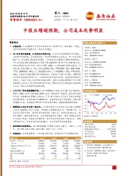 2019年中报点评：中报业绩超预期，公司成本优势明显