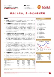 2019年半年报点评：铬盐行业龙头，第二季度业绩创新高
