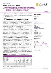 2019年中报点评:上半年净利润扭亏为盈,行业复苏助力公司业绩增长