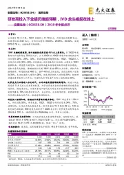 2019年中报点评：研发高投入下业绩仍略超预期，IVD龙头崛起在路上