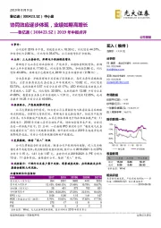 2019年中报点评：协同效应逐步体现，业绩如期高增长