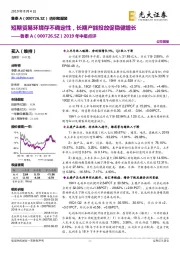 2019年中报点评:短期贸易环境存不确定性,长期产能投放促稳健增长