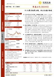 PX与费用拖累业绩，浙石化稳步推进