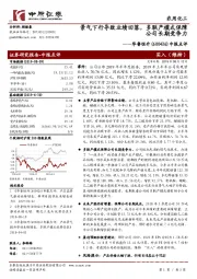 中报点评：景气下行导致业绩回落，多联产模式保障公司长期竞争力