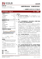 2019年中报点评：业绩阶段性波动，长期投资价值大