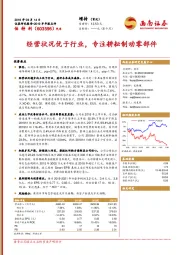 2019半年报点评：经营状况优于行业，专注耕耘制动零部件