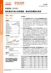 继电器龙头核心优势稳固，新业务发展势头良好