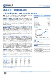 上半年业绩高速增长，静候下半年国内需求启动