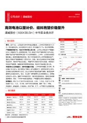 半年度业绩点评：高效电池以量补价，硅料有望价稳量升